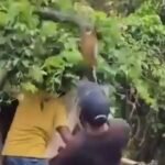 VID-20250831-WA0018(1)