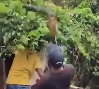 VID-20250831-WA0018(1)