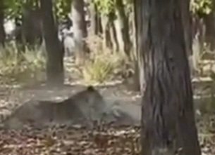 VID-20250901-WA0010(1)