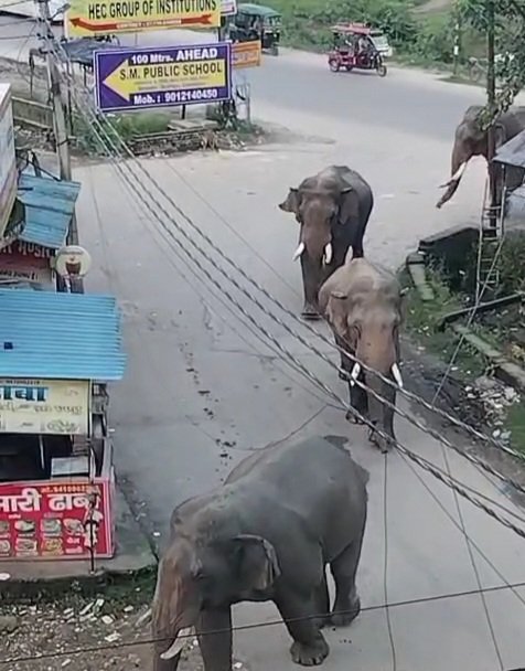VID-20250909-WA0021